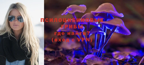 ешки Арсеньев