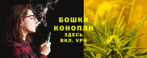 ешки Арсеньев