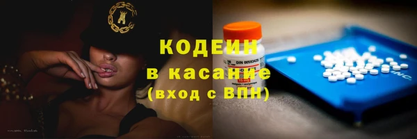 ешки Арсеньев