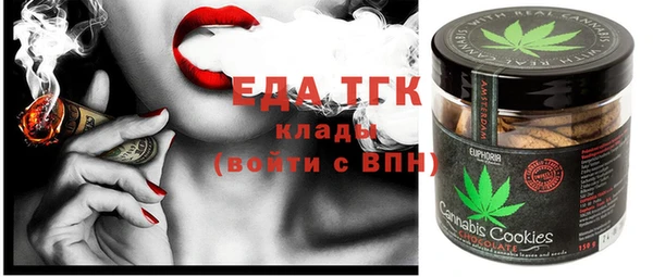 хмурый Алзамай