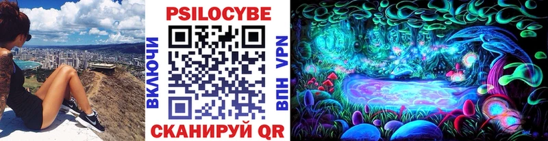 Галлюциногенные грибы Cubensis  наркота  Кукмор 